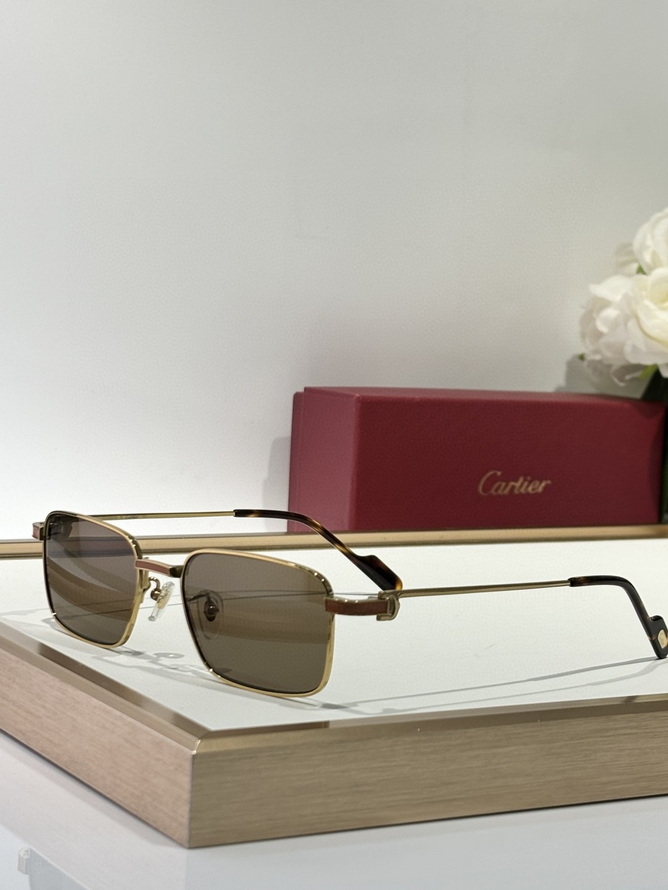 Ca*t*er sunglasses(aaaa)-1489
