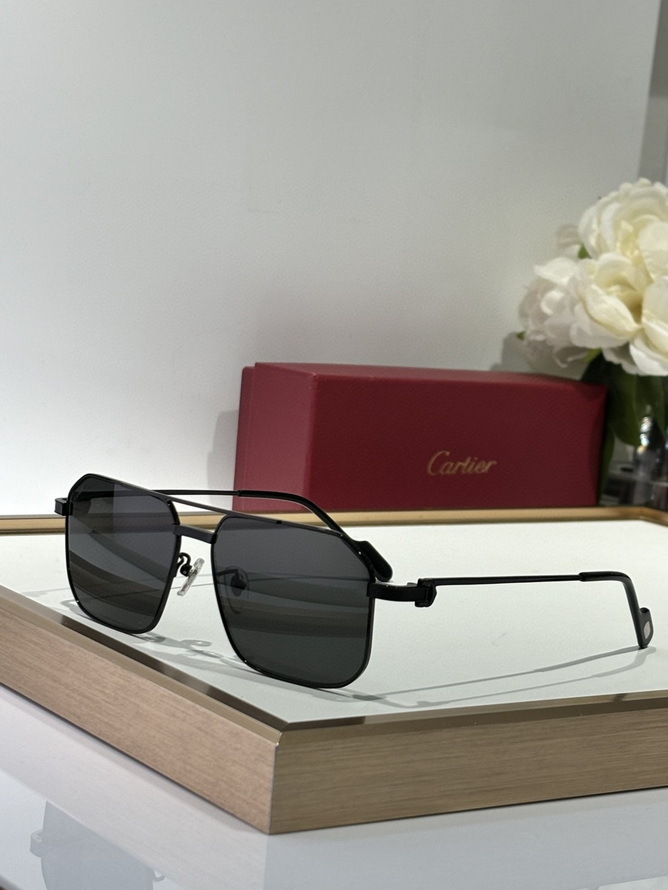 Ca*t*er sunglasses(aaaa)-1484