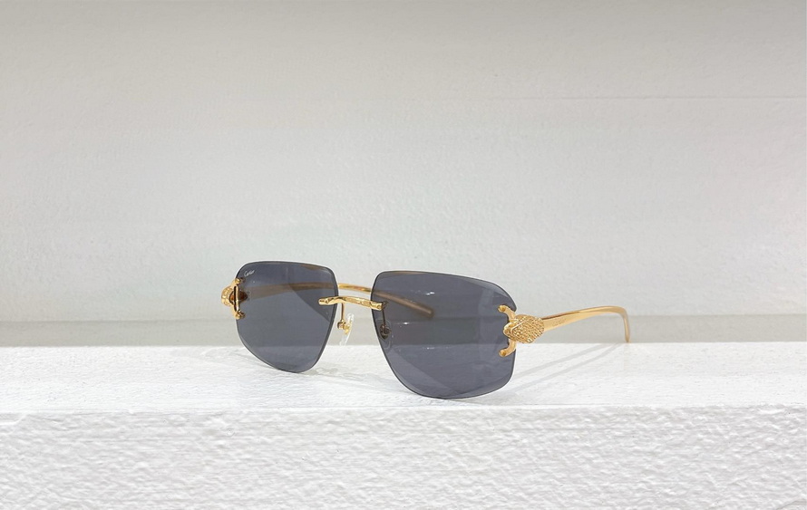 Ca*t*er sunglasses(aaaa)-1191