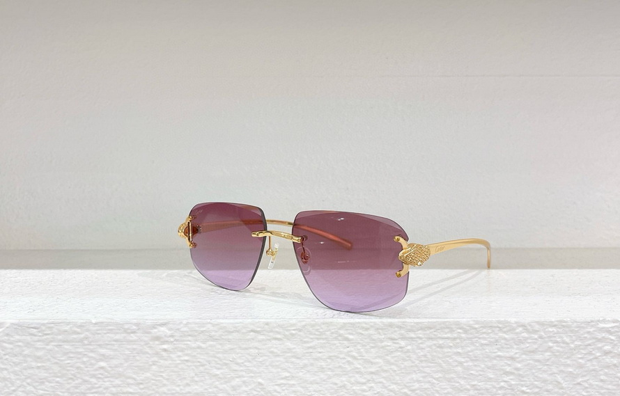 Ca*t*er sunglasses(aaaa)-1187