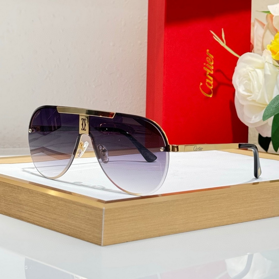 Ca*t*er sunglasses(aaaa)-872