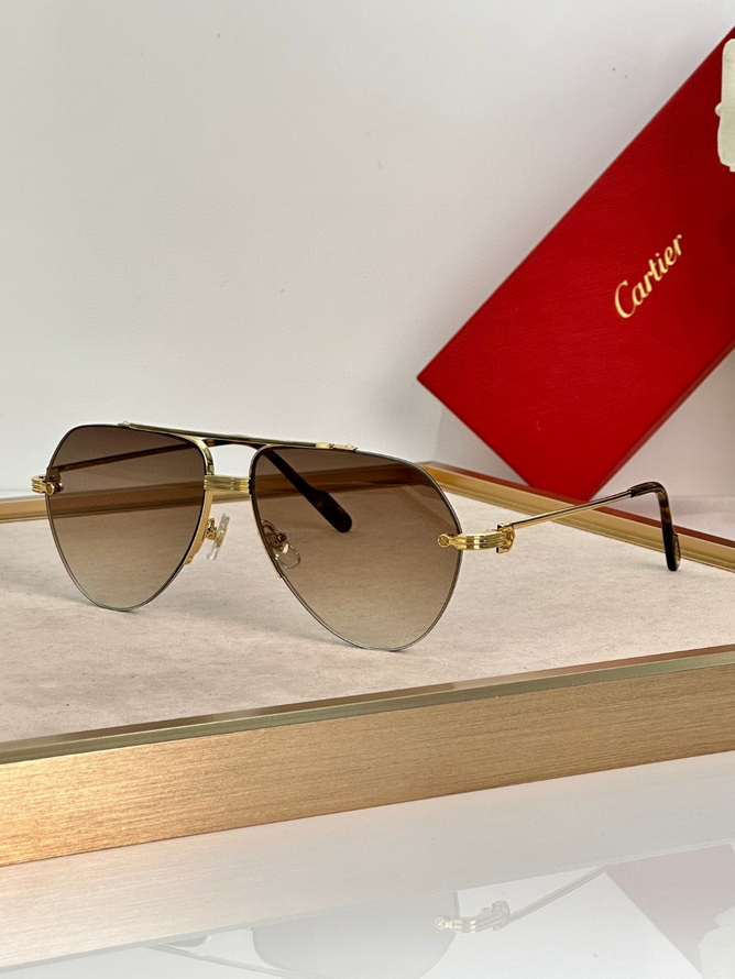 Ca*t*er sunglasses(aaaa)-737