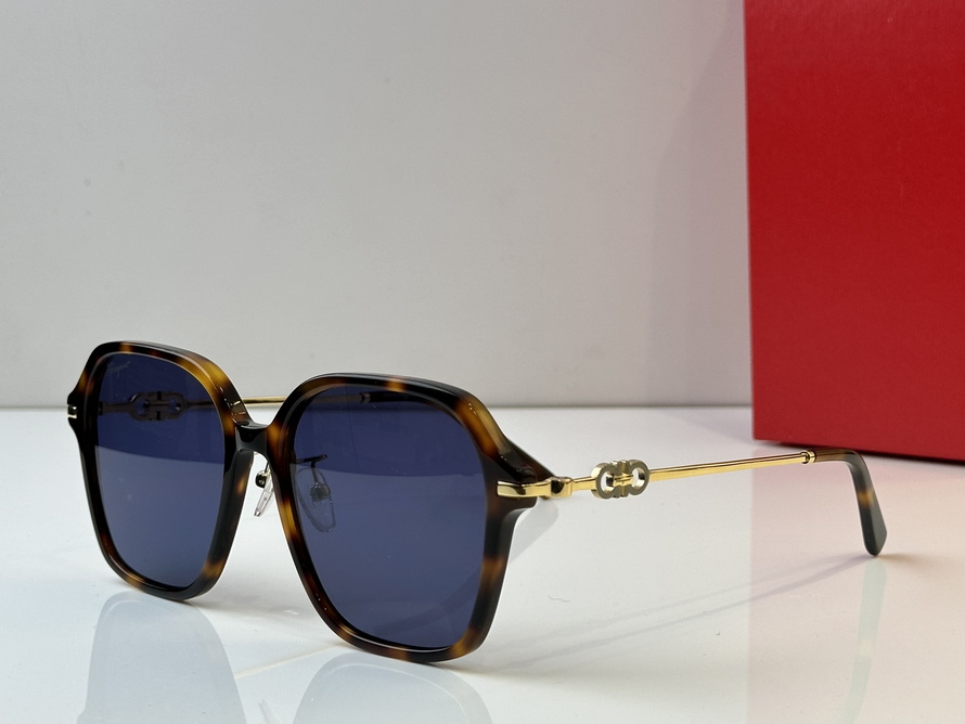 FERRAGAMO Sunglasses(AAAA)-312