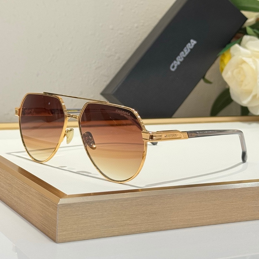 Carrera Sunglasses(AAAA)-100