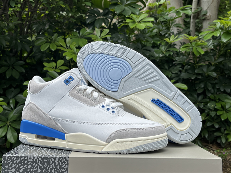 Air Jordan 3 Lucky Shorts