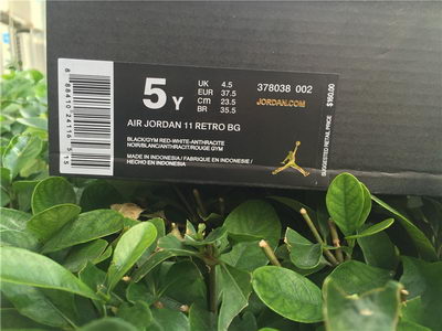 Air Jordan 11 Retro“72-10”(women)-002