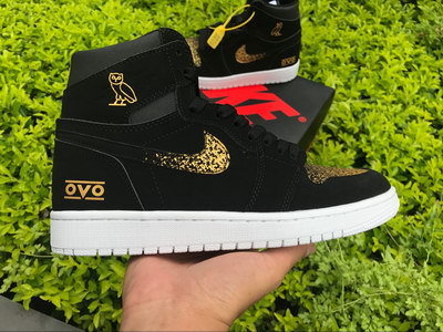 Air Jordan 1  OVO