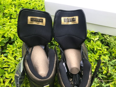 Air Jordan 1 “Wings“