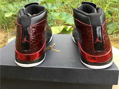 Air Jordan 17+ Retro Bulls