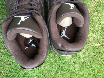 Air Jordan 3 Retro Chocolate