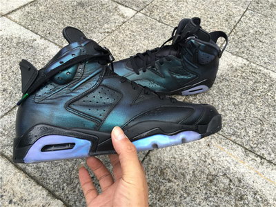 Air Jordan 6 Chameleon