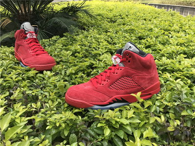 Air Jordan 5 Raging Bull 2017