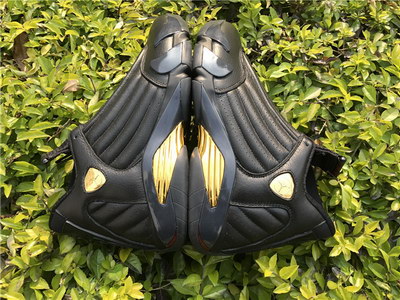 Air Jordan 14 DMP
