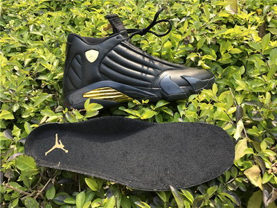 Air Jordan 14 DMP