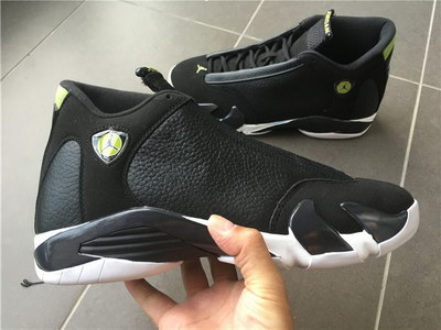 Air Jordan 14 Indiglo