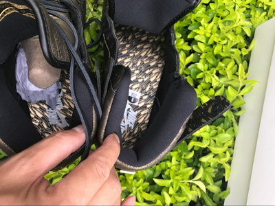 Air Jordan 1 “Wings“