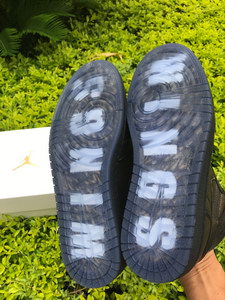 Air Jordan 1 “Wings“