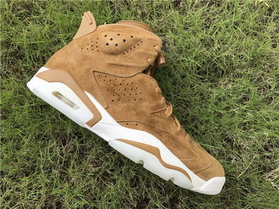 Air Jordan 6 “Golden Harvest”